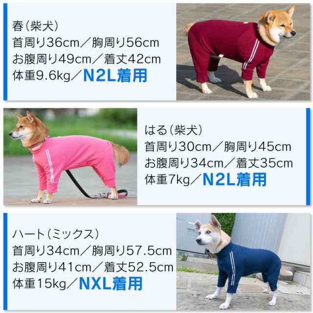 ドッグプレイ R 体操服ジャージつなぎ 中型犬用 ネコポス値3 の通販はau Pay マーケット 犬猫の服 Full Of Vigor