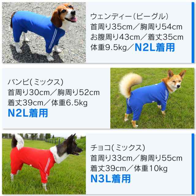 ドッグプレイ R 体操服ジャージつなぎ 中型犬用 ネコポス値3 の通販はau Pay マーケット 犬猫の服 Full Of Vigor