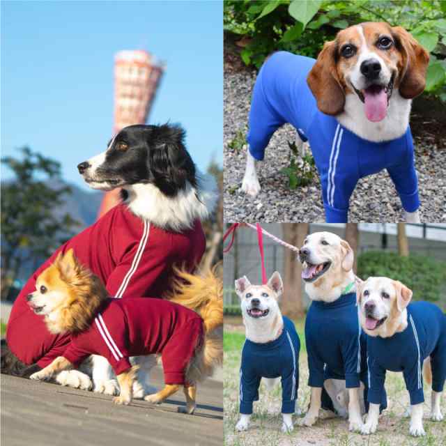 ドッグプレイ R 体操服ジャージつなぎ 中型犬用 ネコポス値3 の通販はau Pay マーケット 犬猫の服 Full Of Vigor