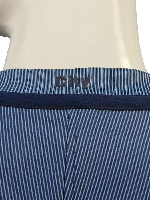 ナイキ) NIKE/16/17マンチェスターシティ/ホーム/半袖/776907-489