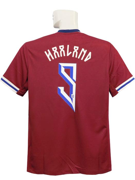 (ナイキ) NIKE/24/25ノルウェー代表/ホーム/半袖/ハーランド/FZ0162-677