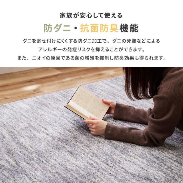 国産高機能ラグ ビビ 約190×190cm 防ダニ 抗菌 防臭 防音 防炎 制電 日本製 ナイロンラグ 無地 hig-350116701x  カーペット ラグ カーペット マット 送料無料 北欧 モダン 家具 インテリア ナチュラル テイスト 新生活 オススメ おしゃれ 後払い の通販は