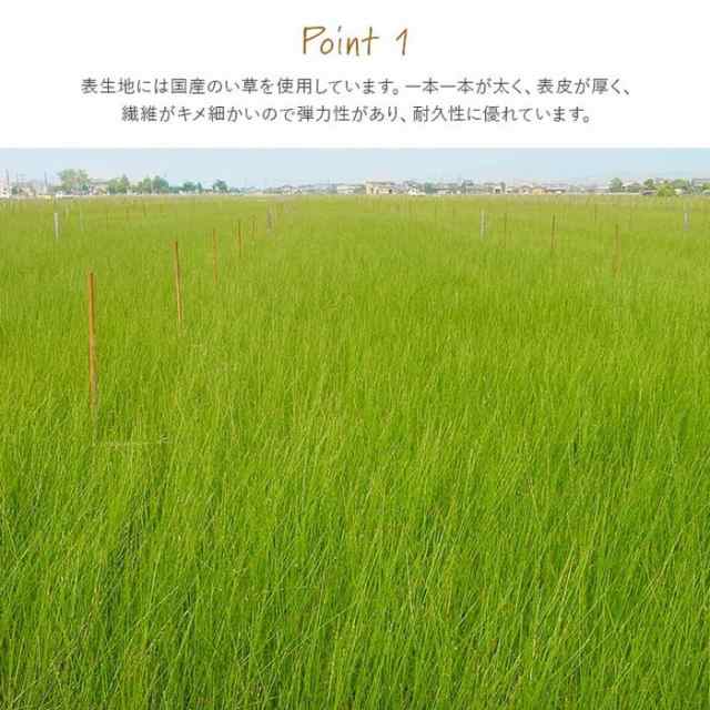 撥水 国産 い草 日本製 置き畳 ユニット畳 簡単 和室 ナチュラル 約88×88cm 単品 ihk-1111550011101  畳 カーペット マット 畳 送料無料 北欧 モダン 家具 インテリア ナチュラル テイスト 新生活 オススメ おしゃれ 後払い の通販は