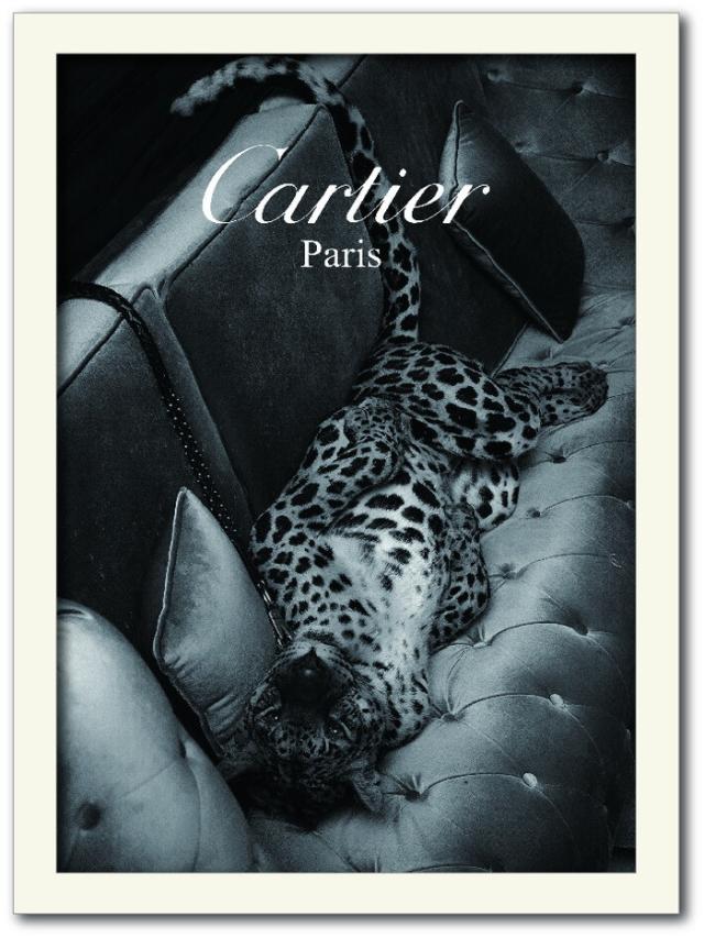カルティエ CARTIER Fashion Photography series2 FS-1012WH-A4 フレームカラー：ホワイト サイズ：A4 店舗 カフェ ラウンジ ロビー ホテル 法人 kar-10130565s2 アートパネル アートボード 壁紙 装飾フィルム 送料無料 北欧 モダン 家具 インテリア ナチュラル テイスト 新