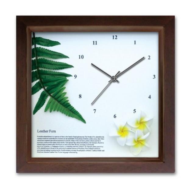 アジアン ハワイアン インテリア時計 DECLOCK レザーファーン BR プルメリア イエロー DC-1211 保証付 kar-3096928s2  アートパネル アートボード 壁紙 装飾フィルム 送料無料 北欧 モダン 家具 インテリア ナチュラル テイスト 新生活 オススメ おしゃれ 後払い の通販は 5,673円