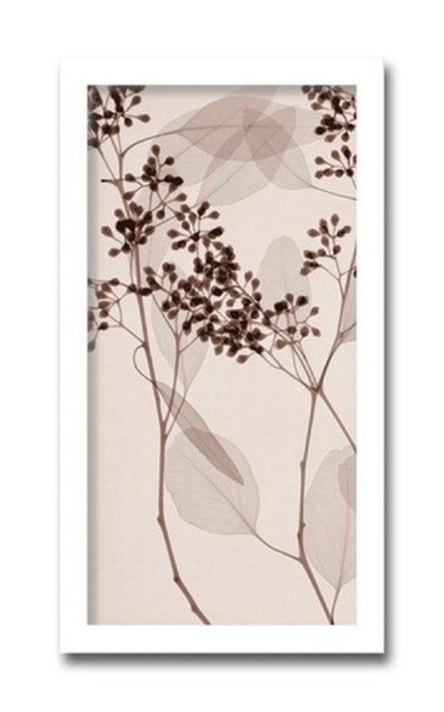 インテリアアート Steven N Meyers Eucalyptus II ヒモ付 AS-11424 kar-3097191s1  アートパネル アートボード 壁紙 装飾フィルム 送料無料 北欧 モダン 家具 インテリア ナチュラル テイスト 新生活 オススメ おしゃれ 後払い の通販は 12,256円