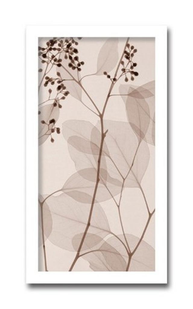 インテリアアート Steven N Meyers Eucalyptus III ヒモ付 AS-11425 kar-3097192s1  アートパネル アートボード 壁紙 装飾フィルム 送料無料 北欧 モダン 家具 インテリア ナチュラル テイスト 新生活 オススメ おしゃれ 後払い の通販は 12,578円