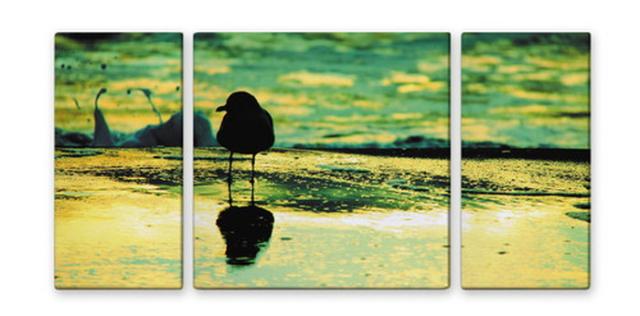 CANVAS ART キャンバスアート Seagull カモメ Mサイズ W600×H300 3枚組 US-1009 kar-4999358s1  アートパネル アートボード 壁紙 装飾フィルム 送料無料 北欧 モダン 家具 インテリア ナチュラル テイスト 新生活 オススメ おしゃれ 後払い の通販は 8,316円