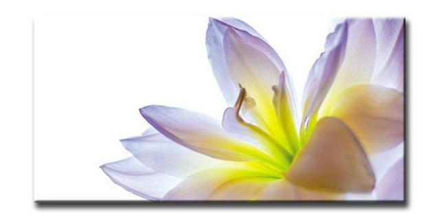 CANVAS ART キャンバスアート Lily リリー Lサイズ W1000×H500×D40mm US-6012 kar-6248601s1  アートパネル アートボード 壁紙 装飾フィルム 送料無料 北欧 モダン 家具 インテリア ナチュラル テイスト 新生活 オススメ おしゃれ 後払い の通販は 17,972円