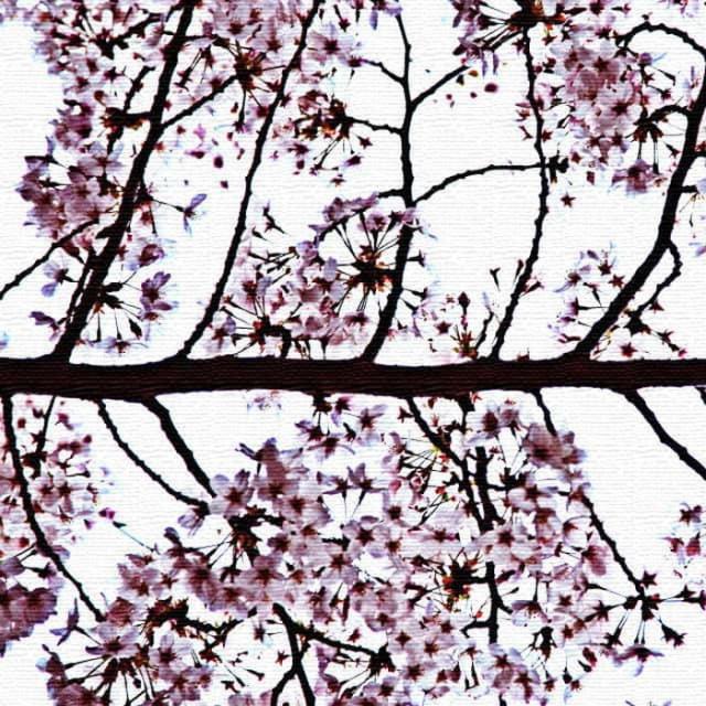 秦義之 花 Yoshiyuki Hata XLサイズ 100cm×100cm アートパネル ファブリックパネル アートボード インテリアパネル 壁掛け 日本製 ラッピング付き lib-hat-0005-xl  アートパネル アートボード 壁紙 装飾フィルム 送料無料 北欧 モダン 家具 インテリア ナチュラル テイスト の通販は