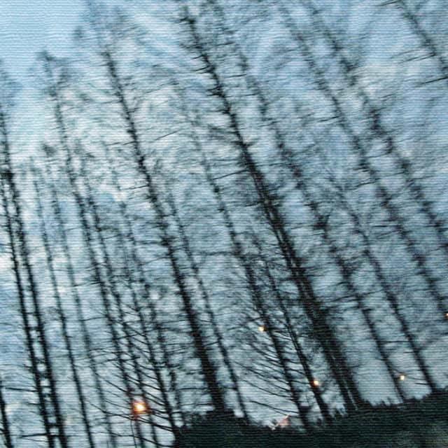 秦義之 森 Yoshiyuki Hata Lサイズ 57cm×57cm アートパネル ファブリックパネル アートボード インテリアパネル 壁掛け 日本製 ラッピング付き lib-hat-0009-l  アートパネル アートボード 壁紙 装飾フィルム 送料無料 北欧 モダン 家具 インテリア ナチュラル テイスト 新生の通販は 6,061円