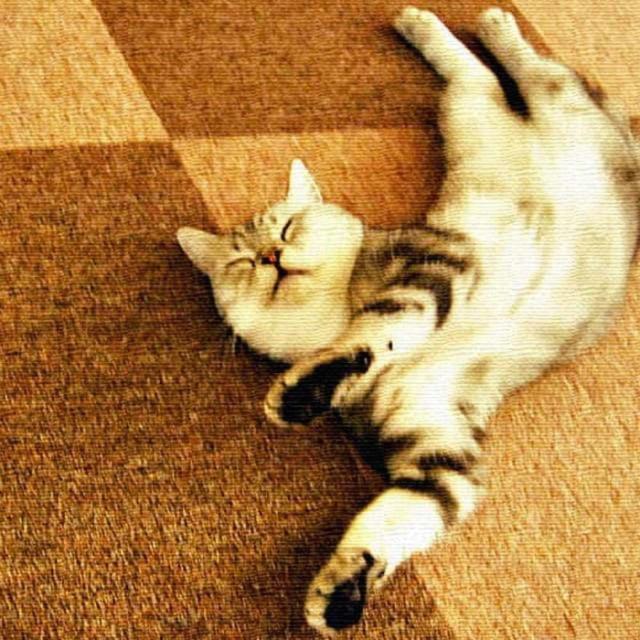 猫 ANIMAL Lサイズ 57cm×57cm アートパネル ファブリックパネル アートボード インテリアパネル 壁掛け 日本製 ラッピング付き lib-pho-0049-l  アートパネル アートボード 壁紙 装飾フィルム 送料無料 北欧 モダン 家具 インテリア ナチュラル テイスト 新生活 オススメ おの通販は 5,803円