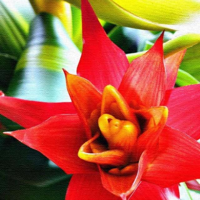 花モチーフ FLOWER Lサイズ 57cm×57cm アートパネル ファブリックパネル アートボード インテリアパネル 壁掛け 日本製 ラッピング付き lib-pho-0058-l  アートパネル アートボード 壁紙 装飾フィルム 送料無料 北欧 モダン 家具 インテリア ナチュラル テイスト 新生活 オスの通販は 5,941円