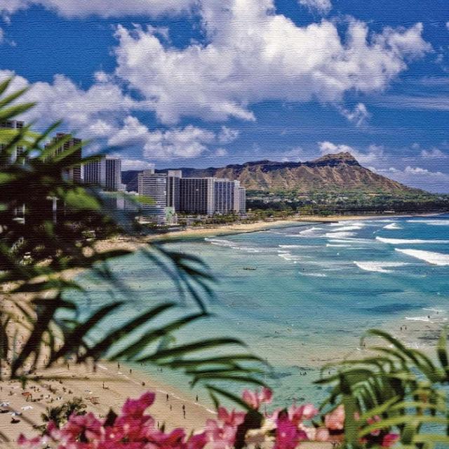 ワイキキビーチ アート pho-0085 Lサイズ 57cm×57cm アートパネル ファブリックパネル アートボード インテリアパネル 壁掛け 日本製 ラッピング付き lib-pho-0085-l  アートパネル アートボード 壁紙 装飾フィルム 送料無料 北欧 モダン 家具 インテリア ナチュラル テイスの通販は 7,007円