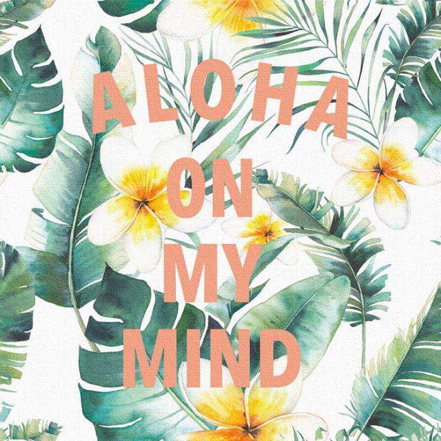 プルメリア popa-1803-009 XLサイズ 100cm×100cm アートパネル ファブリックパネル アートボード インテリアパネル 壁掛け 日本製 ラッピング付き lib-popa-1803-009-xl アートパネル アートボード 壁紙 装飾フィルム 送料無料 北欧 モダン 家具 インテリア ナチュラル テイの通販は