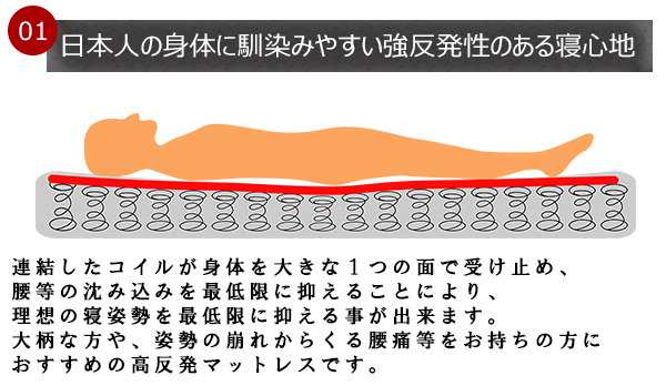 フラップテーブル 照明 コンセント 仕切り付引出し付ベッド Catty キャティ セミダブル SGマーク付国産ハードマットレス付 to-10-k333-