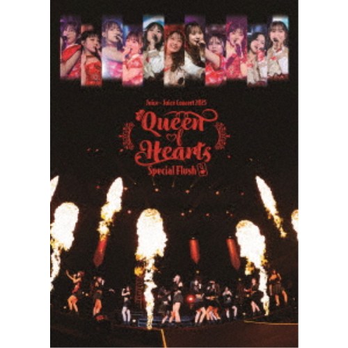 トッポ・ジージョ シリーズコンプリートDVD-BOX(中古品) 【公式通販】