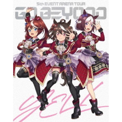 CD/アニメ/戦姫絶唱シンフォギア キャラクターソング