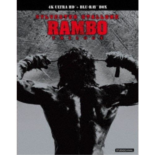 一抹の純情 DVD-BOX4 一抹の純情 DVD-BOX4 [DVD]
