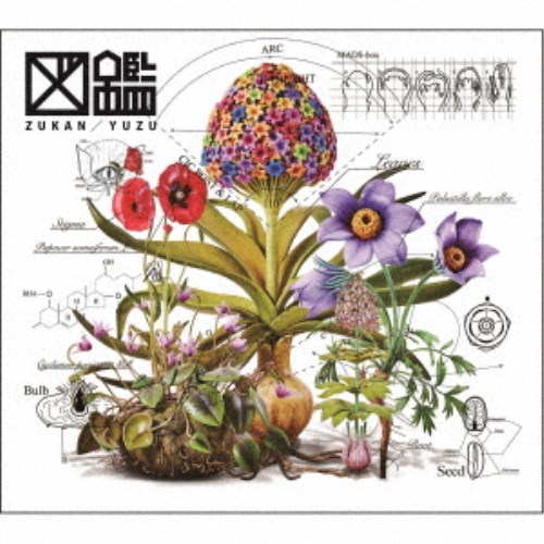 ゆず／図鑑 (初回限定) 【CD+Blu-ray】の通販は 5,629円