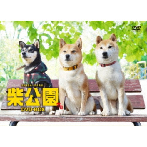 柴公園 TVシリーズ DVD-BOX 【DVD】の通販はau PAY マーケット