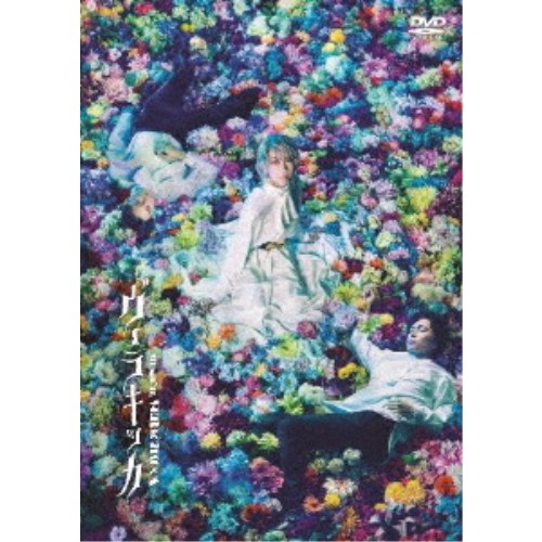 ミュージカル『ヴェラキッカ』 【DVD】の通販は 4,872円