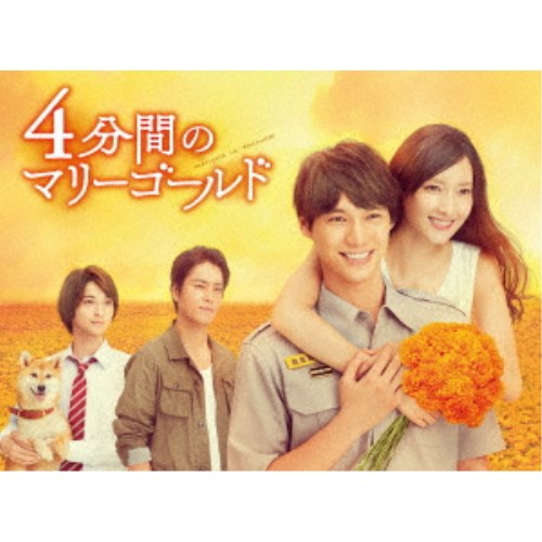 4分間のマリーゴールド DVD-BOX 【DVD】 その他国内TVドラマ