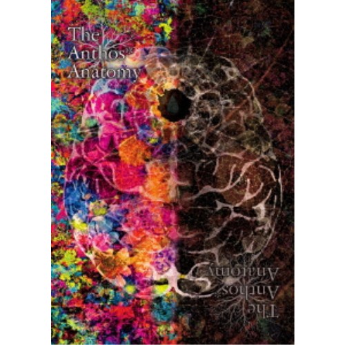 華Doll＊ The Anthos＊ Anatomy 【DVD】