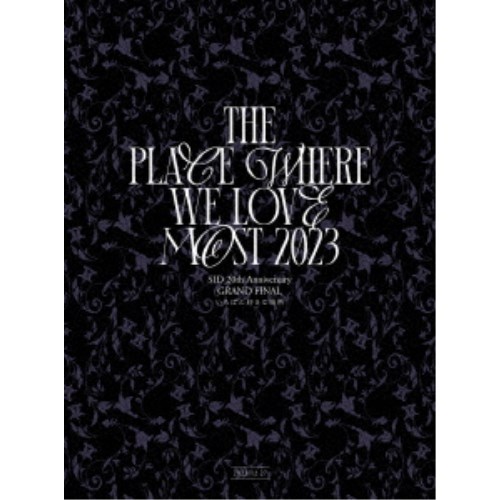 シド／SID 20th Anniversary GRAND FINAL いちばん好きな場所 (初回限定) 【DVD】