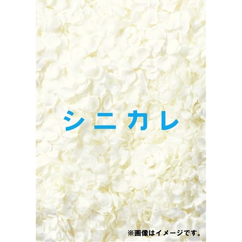 (未使用･未開封品)Die Olsenbande-Chevy Box [DVD] その他 Die Olsenbande-Chevy Box [DVD] Die Olsenbande - DVD