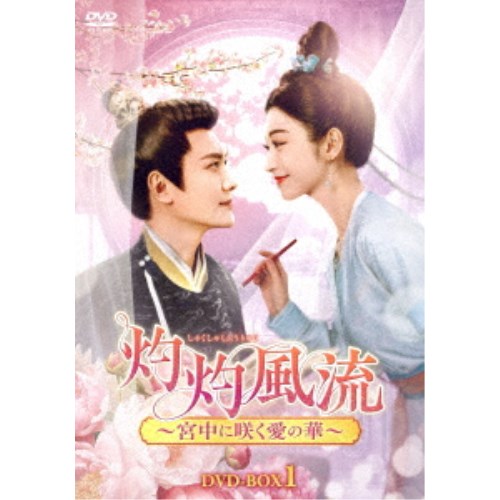 燃えよ 燃えよ!カンフー 1stシーズン DVDコレクターズ・ボックス