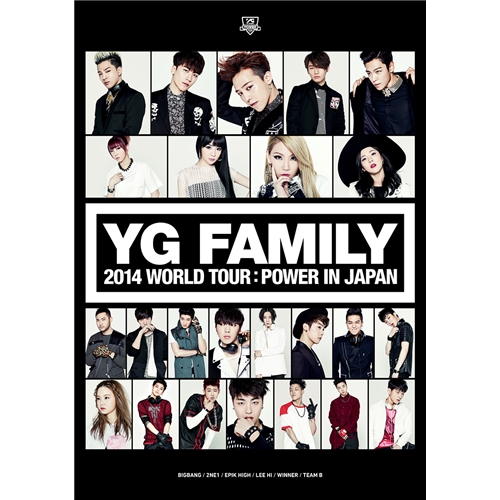 YG FAMILY／YG FAMILY 2014 WORLD TOUR：POWER IN JAPAN 【DVD】の通販は 6,018円