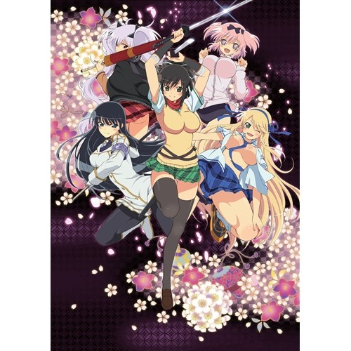 閃乱カグラ 第参巻 【Blu-ray】の通販は