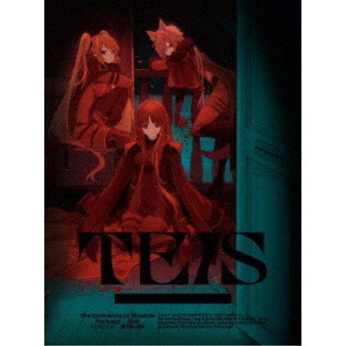 陰の実力者になりたくて！ Vol.4 【DVD】