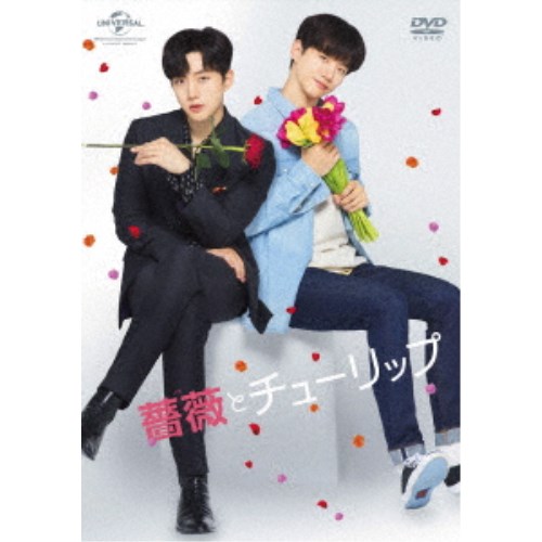 薔薇とチューリップ スペシャル DVD BOX (初回限定) 【DVD】