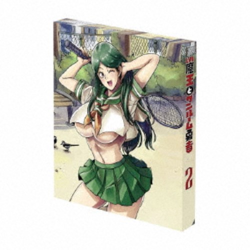 Lv1天魔波旬とワンルーム勇者 第2巻 【ヴィデオディスク】