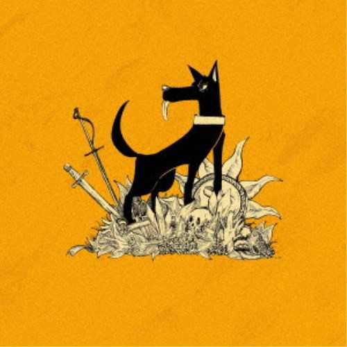 TOOBOE／Stupid dog《完全生産限定盤》 (初回限定) 【CD+Blu-ray】の通販はその他J-POP