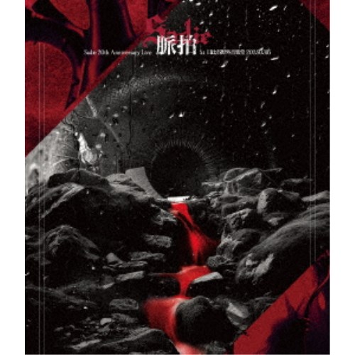 Sadie／20th Anniversary Live「脈拍」at 日比谷野外音楽堂 20250316