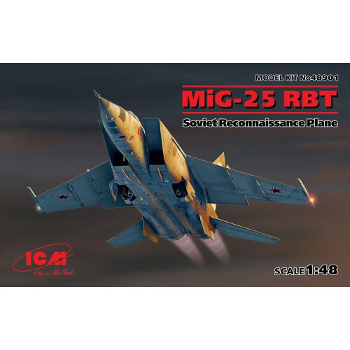 1／48 ミグ MiG-25 RBT 【48901】 (プラモデル)