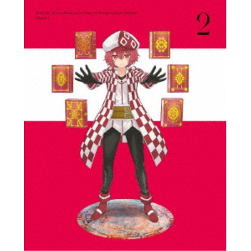 心苦しいのは嫌なので防御すること力に極振りしたいと思います。2 第2巻 【ヴィデオディスク】