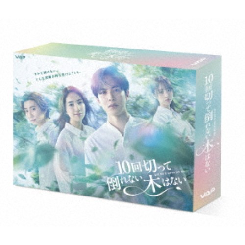 10回切って倒れない木はない Blu-ray BOX 【Blu-ray】 16,888円