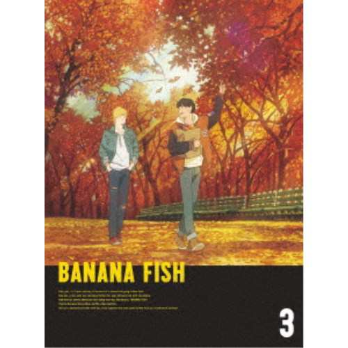 BANANA FISH DVD BOX 3《完全生産限定版》 (初回限定) 【DVD】の通販は