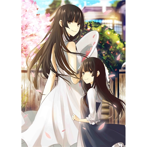 櫻子さんの足下には死体が埋まっている 第6巻《限定版》 (初回限定) 【DVD】の通販は