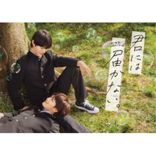 NHK特集 シルクロード デジタルリマスター版 DVDBOX II 第2部 ローマへ