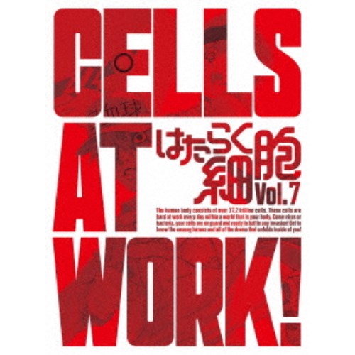 はたらく細胞 Vol.7《完全生産限定版》 (初回限定) 【DVD】 4,762円