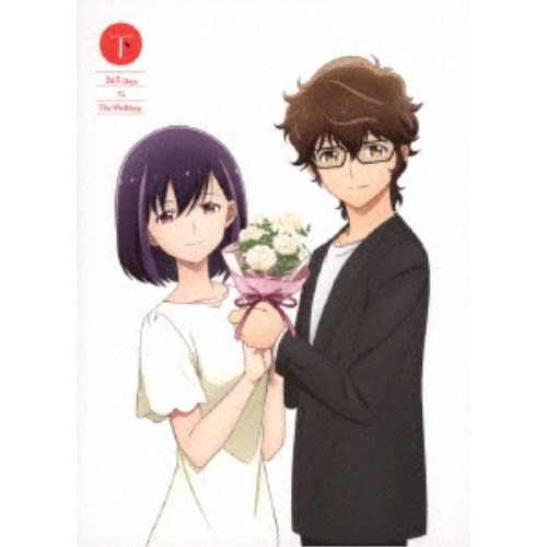 結婚するって、本当ですか 下 【DVD】