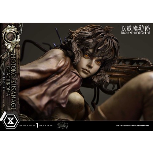 ザ・レジェンド・オブ・ビューティ・アンド・ビースト 1／4 『攻殻機動隊 STAND ALONE COMPLEX』 草薙素子＆タチコマ Art byエンテイ...._8