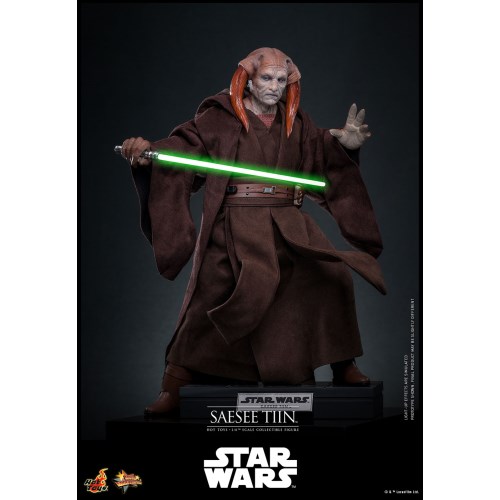 【ムービー・マスターピース】 『スター・ウォーズ エピソード3／シスの復讐』 1／6スケールフィギュア サシー・ティン (可動式フィ...._1