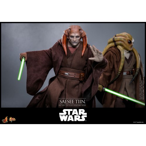 【ムービー・マスターピース】 『スター・ウォーズ エピソード3／シスの復讐』 1／6スケールフィギュア サシー・ティン (可動式フィ...._2