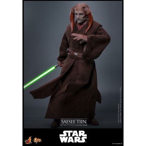 【ムービー・マスターピース】 『スター・ウォーズ エピソード3／シスの復讐』 1／6スケールフィギュア サシー・ティン (可動式フィ...._5